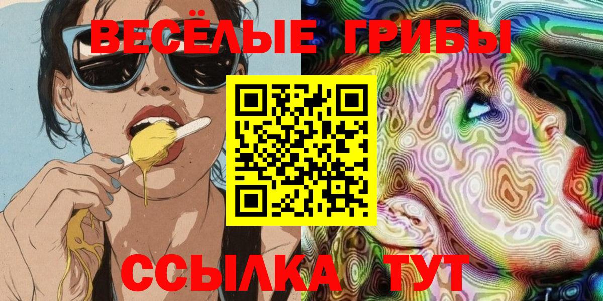 Псилоцибиновые грибы мицелий Чехов