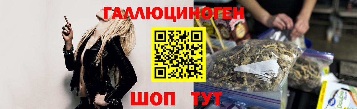 Псилоцибиновые грибы Psilocybine cubensis  Вход с VPN  Чехов 